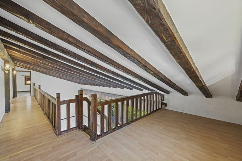 Maison individuelle 6 pièces 1/2 avec un atelier et une vue extraordinaire à Chemin Dessous (15)