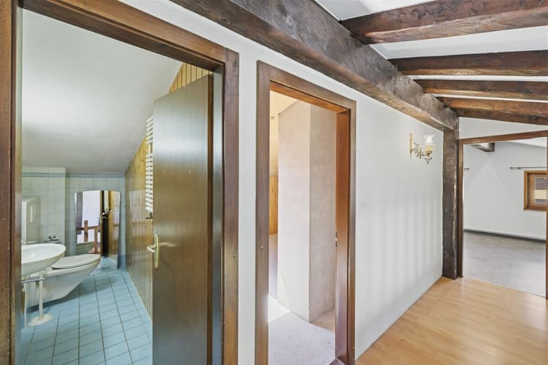 Maison individuelle 6 pièces 1/2 avec un atelier et une vue extraordinaire à Chemin Dessous (20)