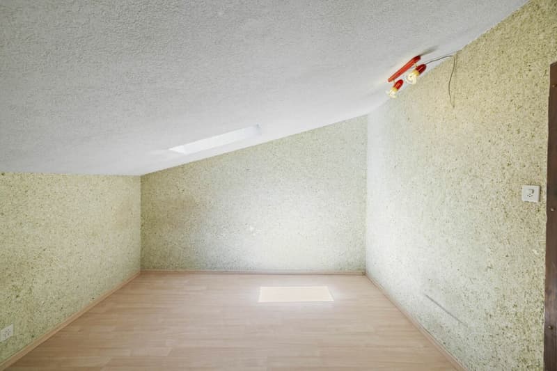 Maison individuelle 6 pièces 1/2 avec un atelier et une vue extraordinaire à Chemin Dessous (19)