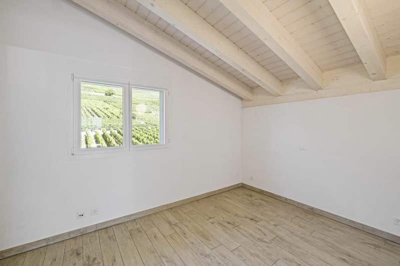 Spacieux attique de 4,5 pièces de 146 m2 bénéficiant d'une vue imprenable sur les Alpes (16)