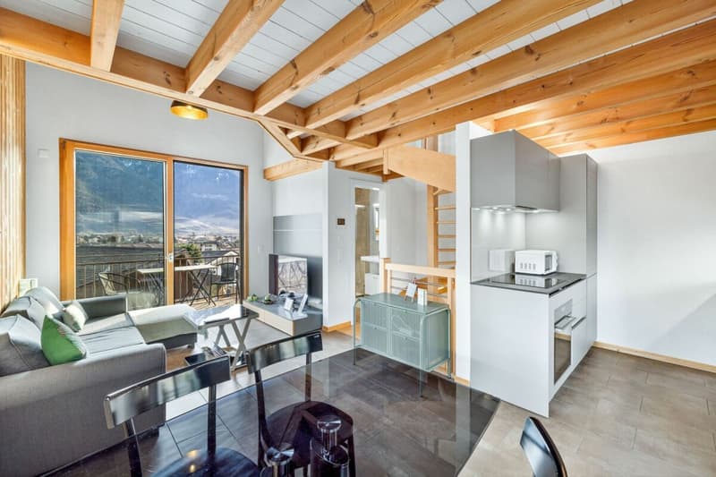 MAGNIFIQUE VILLA MITOYENNE 3 PCES ½ DE 110 M2 AU COEUR DES VIGNES À SAILLON (9)