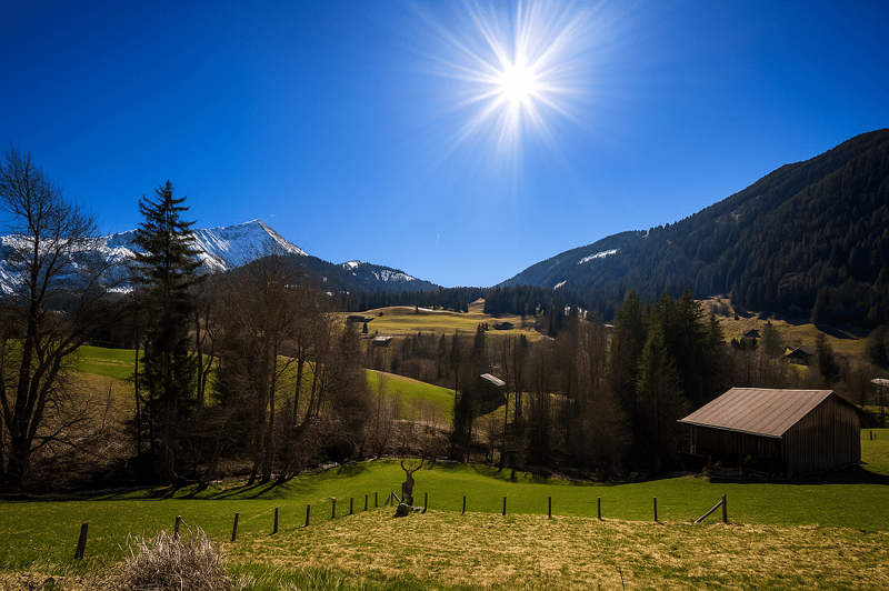 20250730_1100_Paysage Ensoleille- Alpestre_remix_01k1d8rk4bfdxbxkjmxkfr60mc.png