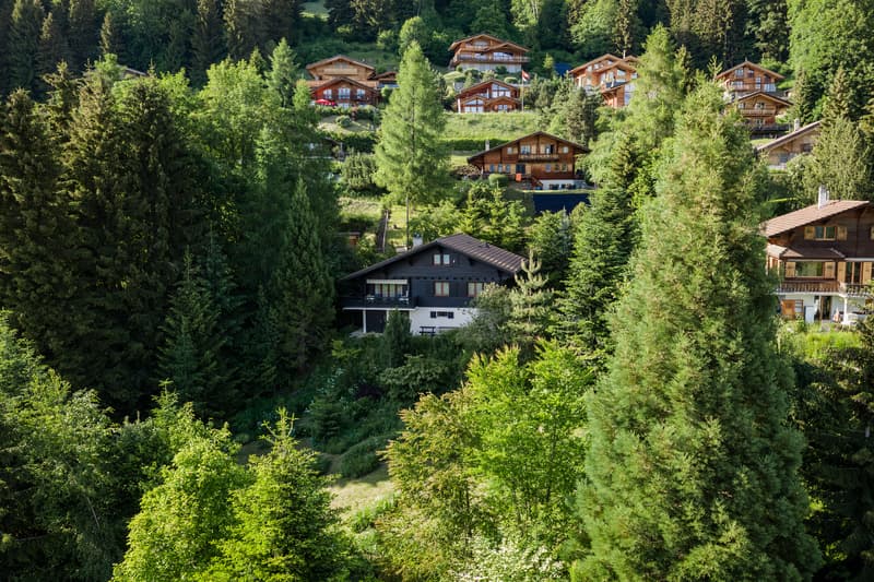 DJI_20260607182202_0001_D.jpg