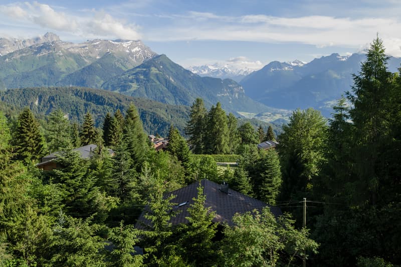 DJI_20260607182618_0005_D.jpg