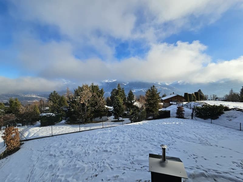 Chalet with 5.5 rooms in the Mayens d'Arbaz (3)