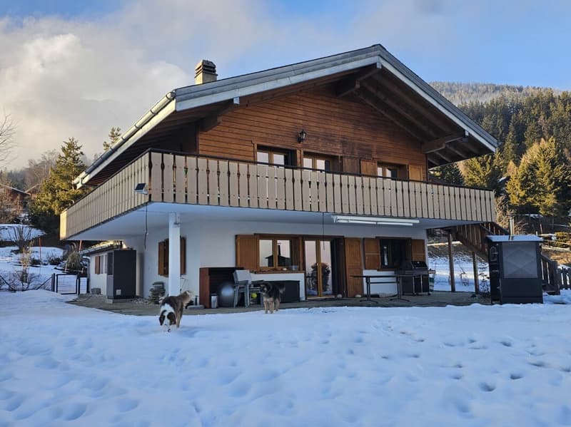 Chalet with 5.5 rooms in the Mayens d'Arbaz (1)