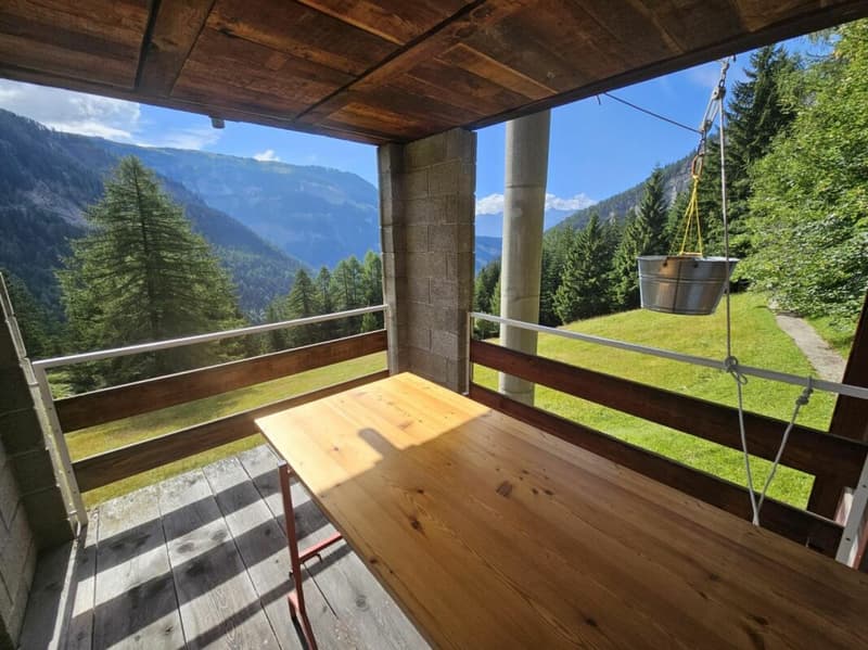 Chalet 3.5 rooms in Anzère (4)