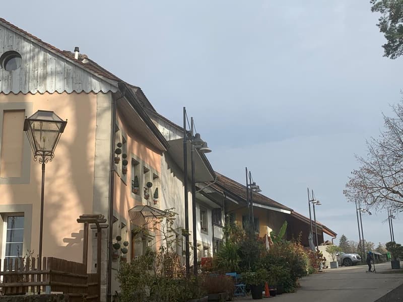 Historic character house for sale in Moudon (11)