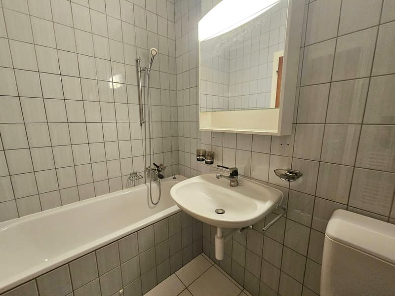 Appartamento di due locali con balcone sul Quai de la Thiële (7)