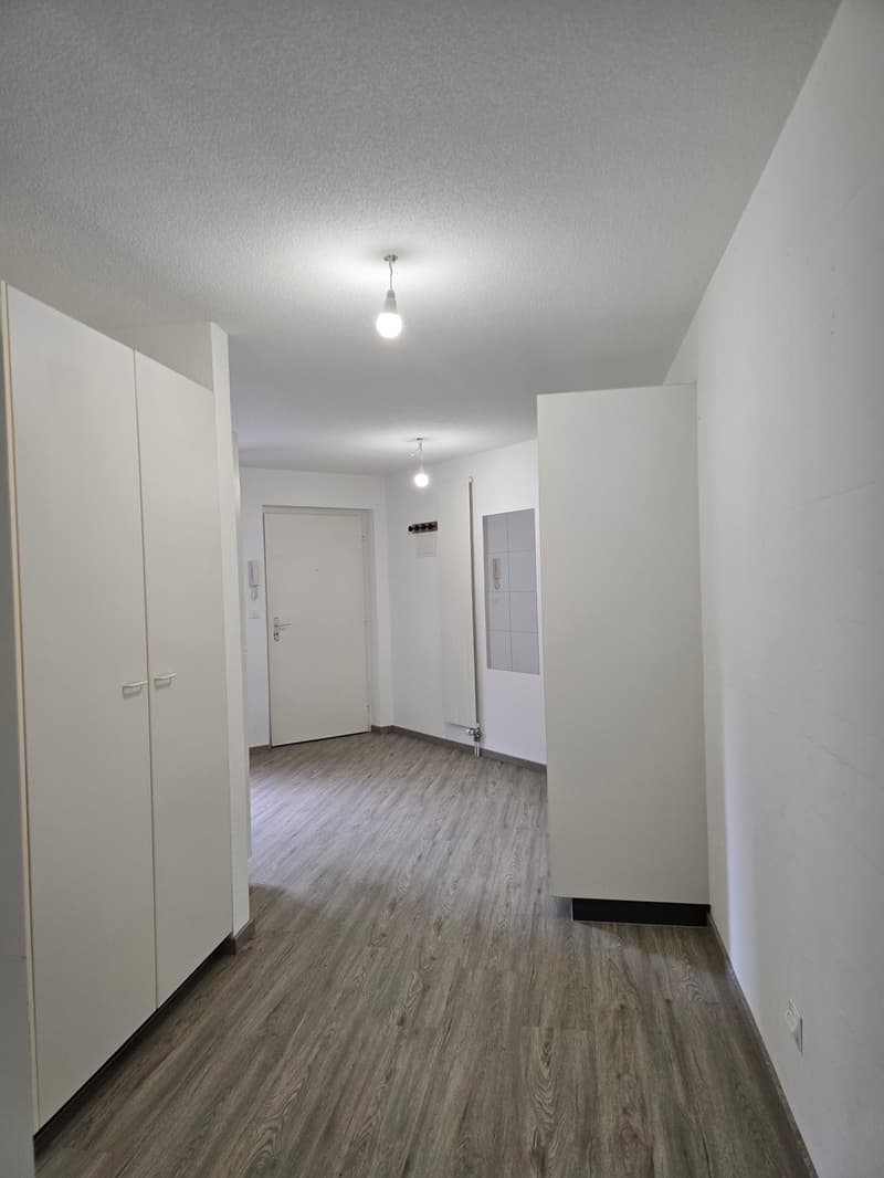 Appartamento di 2 locali al piano terra di 57 m2 (6)