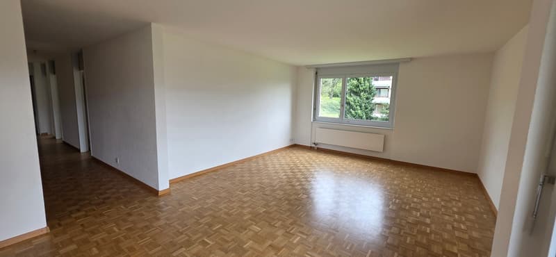 Beau 4.5 pces de 98m2  Magnifique vue sur Delémont (6)