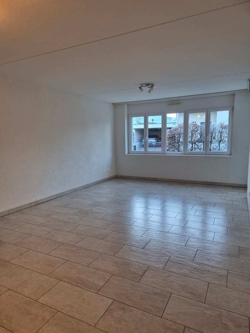Appartamento 2,5 locali di 65m2 a piano terra (5)