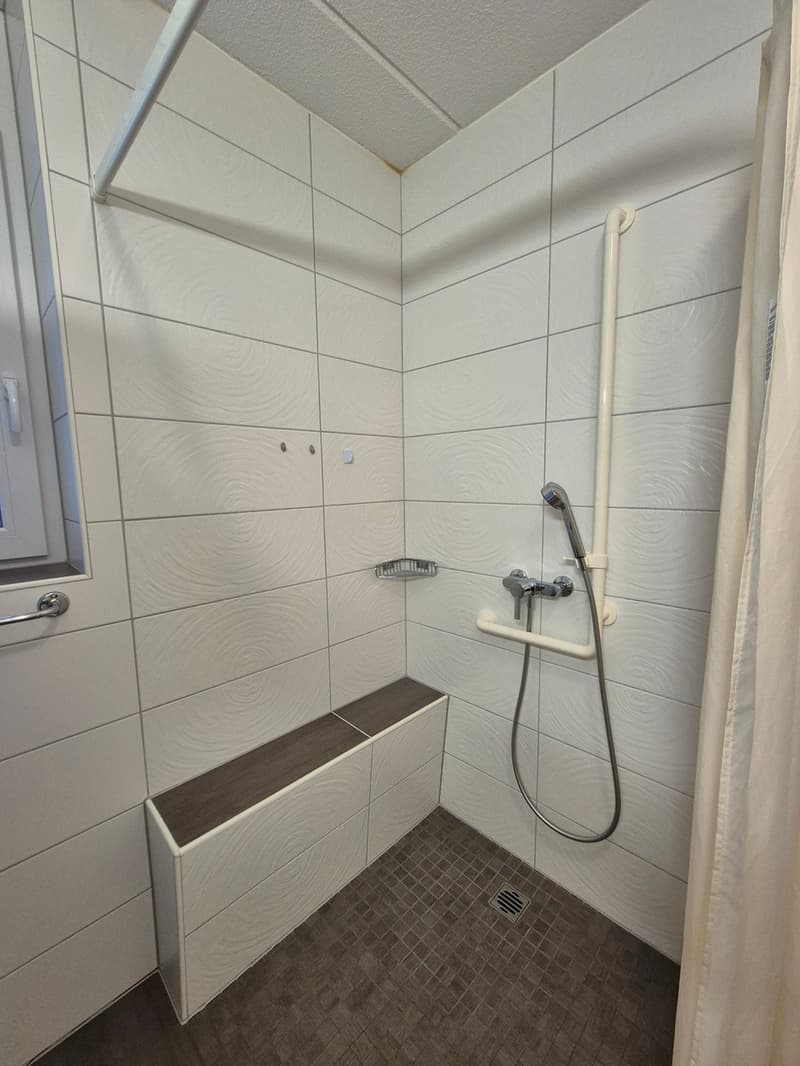 Appartamento 2,5 locali di 65m2 a piano terra (4)