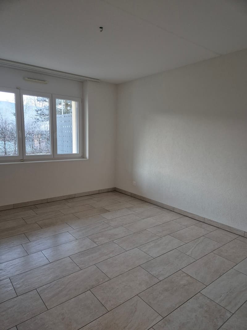 Appartamento 2,5 locali di 65m2 a piano terra (6)