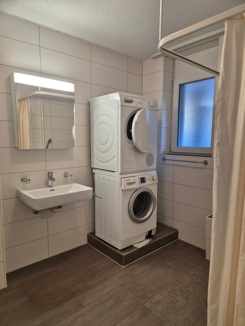 Appartamento 2,5 locali di 65m2 a piano terra (3)