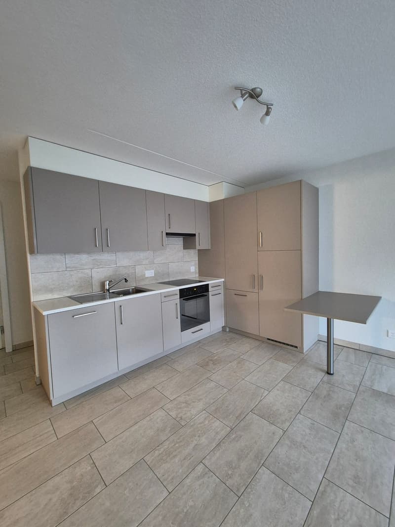 Appartamento 2,5 locali di 65m2 a piano terra (2)