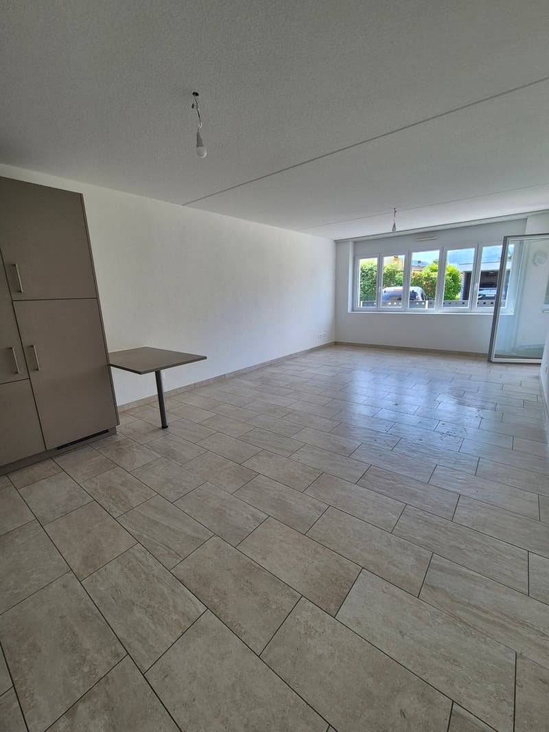 Appartamento 2,5 locali a piano rialzato adattato 65m2 (2)