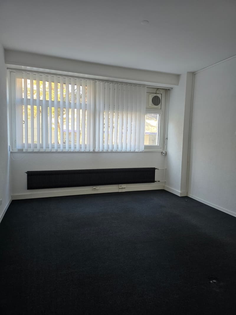 Commercial surface of 163 m2 (4)
