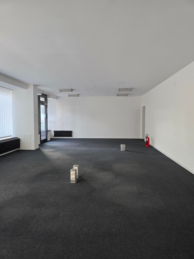 Commercial surface of 163 m2 (2)