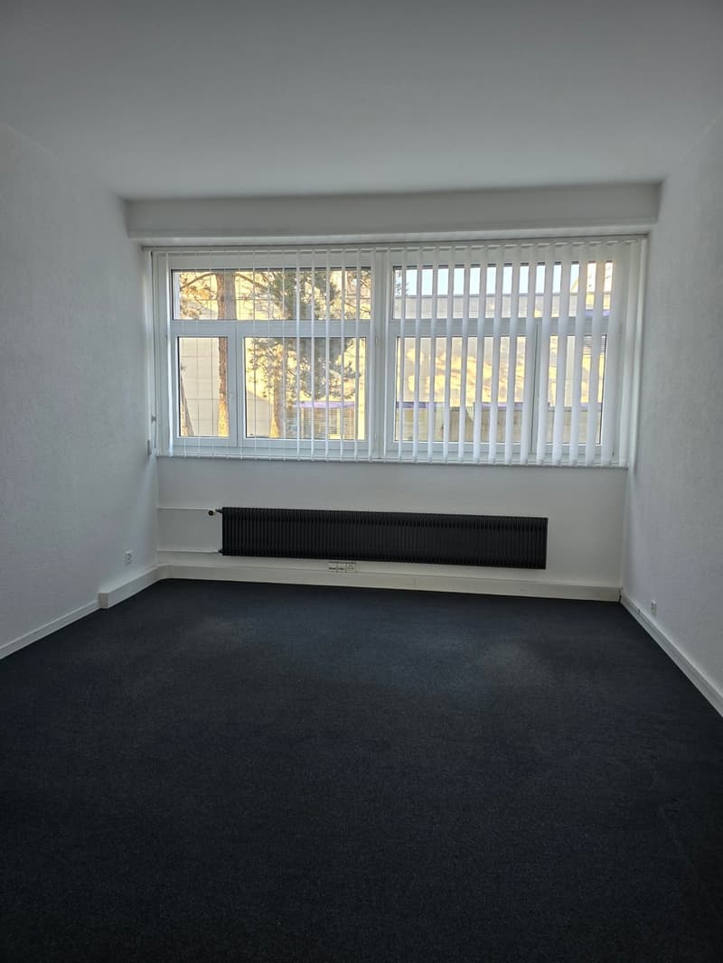 Commercial surface of 163 m2 (5)