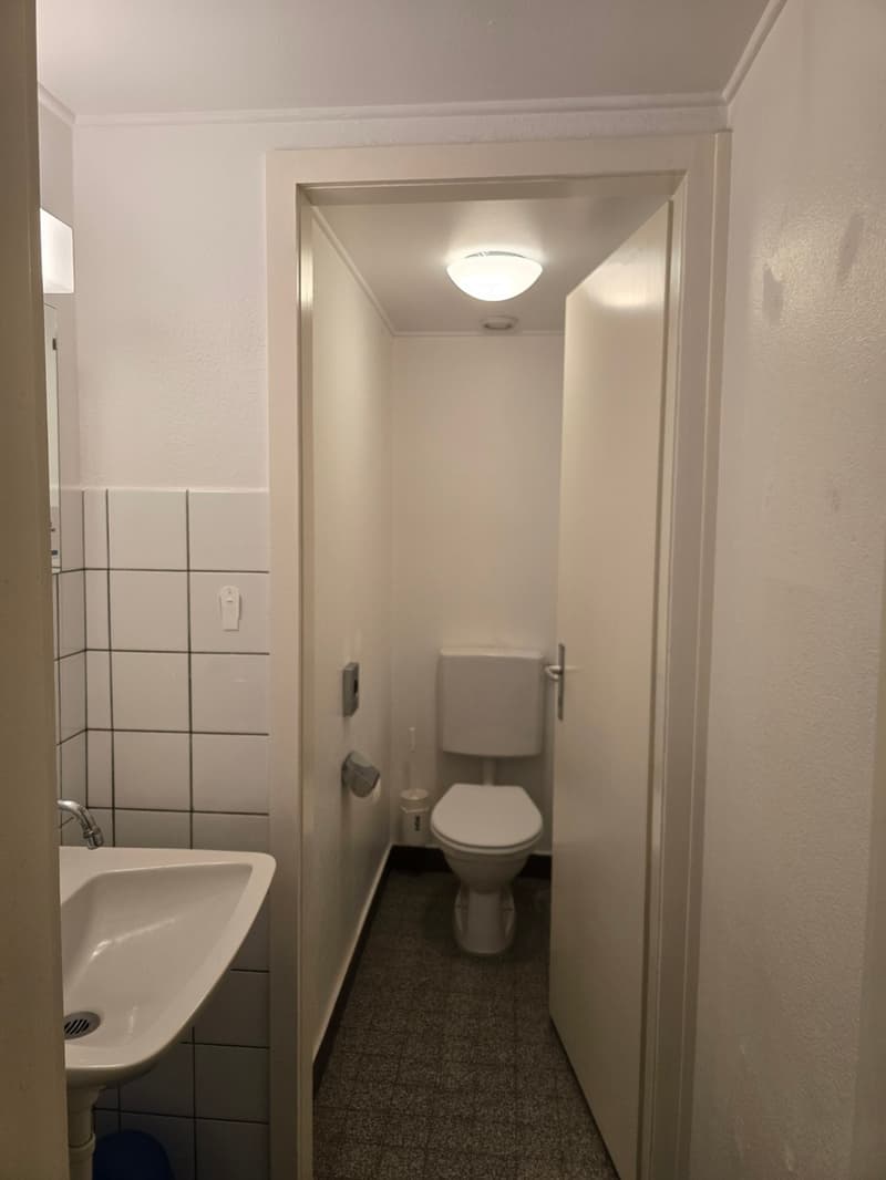 Commercial surface of 163 m2 (7)