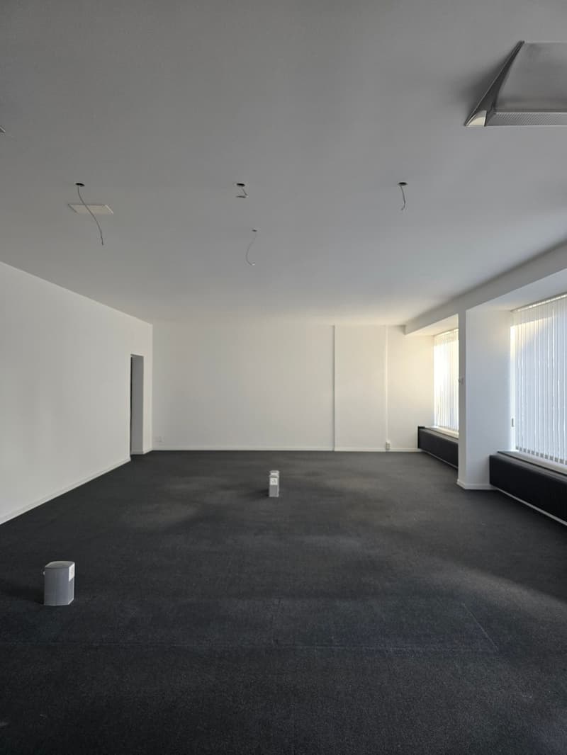 Commercial surface of 163 m2 (3)