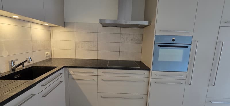 Beautiful 3.5 rooms - Integrated washer/dryer (3)