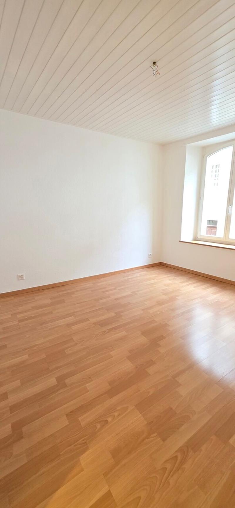 Beautiful 3.5 rooms - Integrated washer/dryer (6)