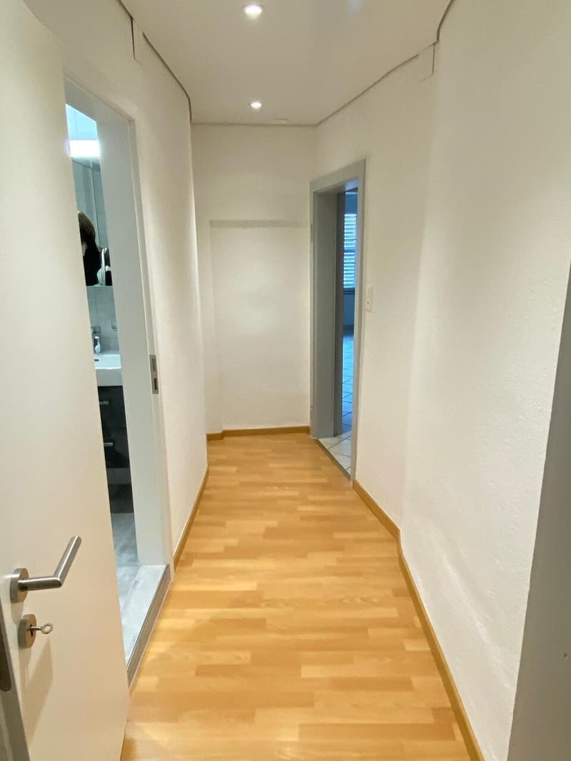 Beautiful 3.5 rooms - Integrated washer/dryer (8)