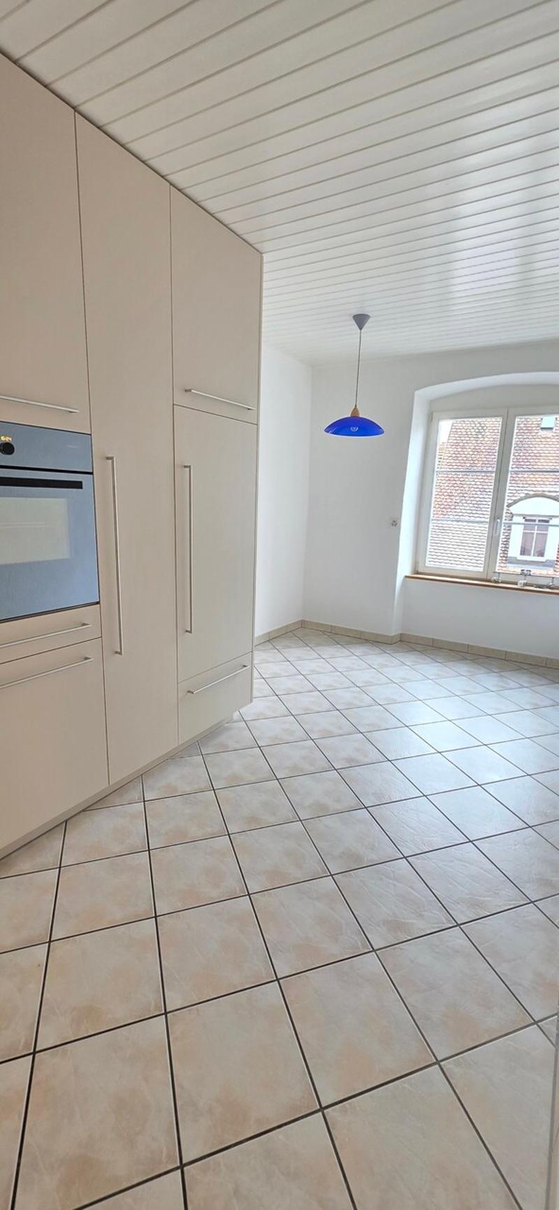 Beautiful 3.5 rooms - Integrated washer/dryer (4)