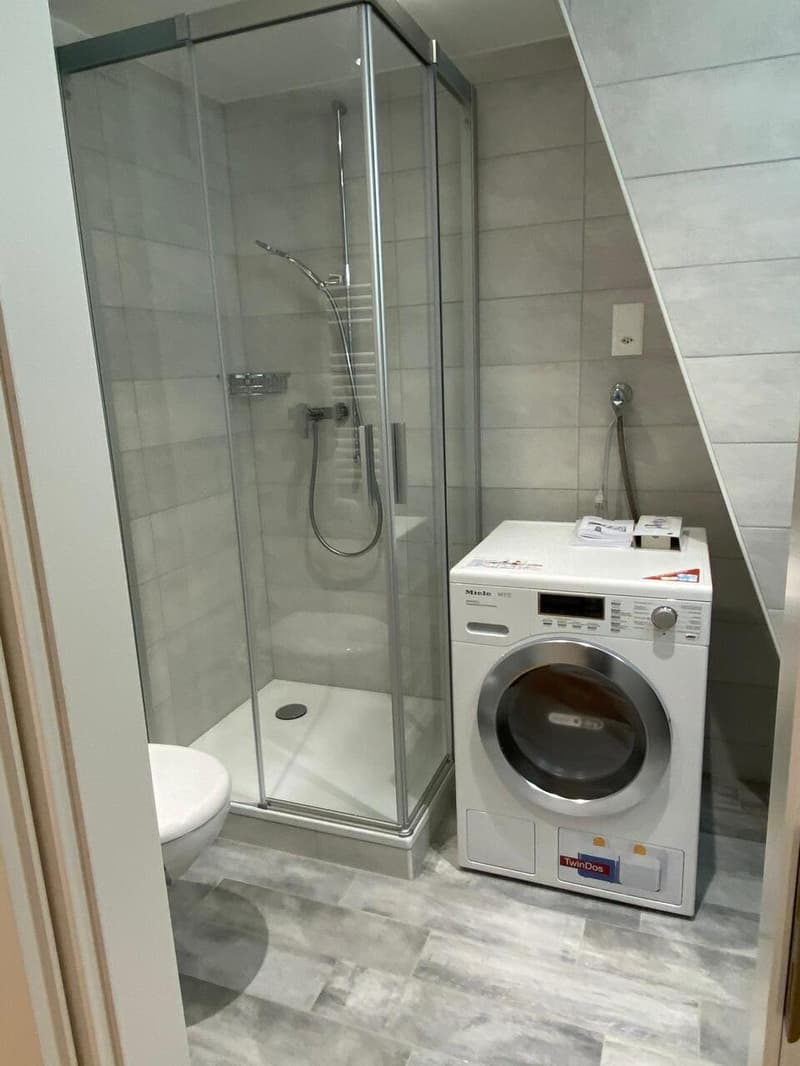 Beautiful 3.5 rooms - Integrated washer/dryer (13)