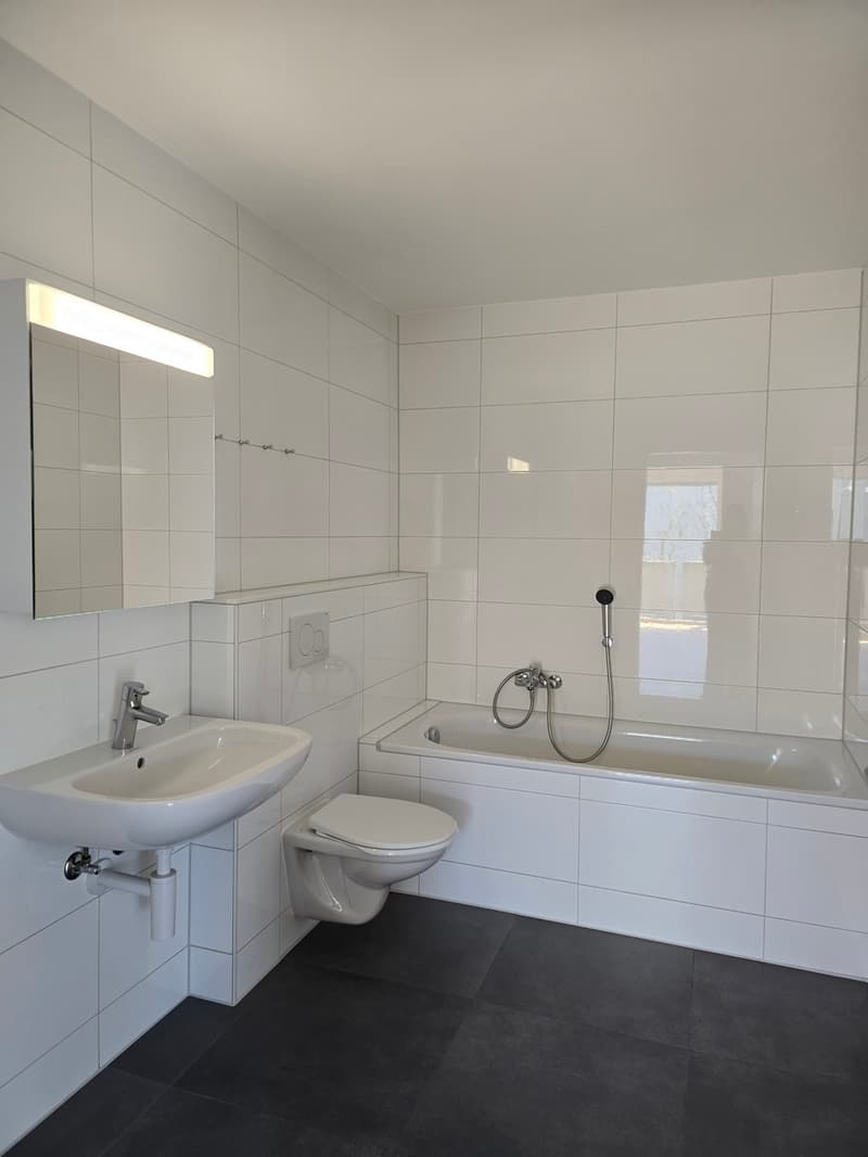 4.5-room apartment on the 1st floor, 100 m2, with elevator (7)
