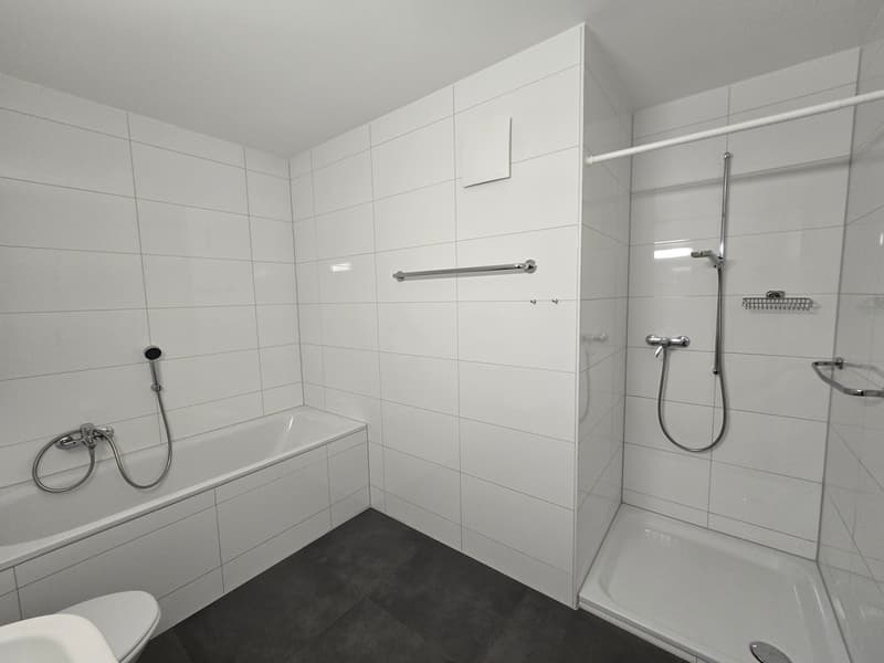 4.5-room apartment on the 1st floor, 100 m2, with elevator (6)