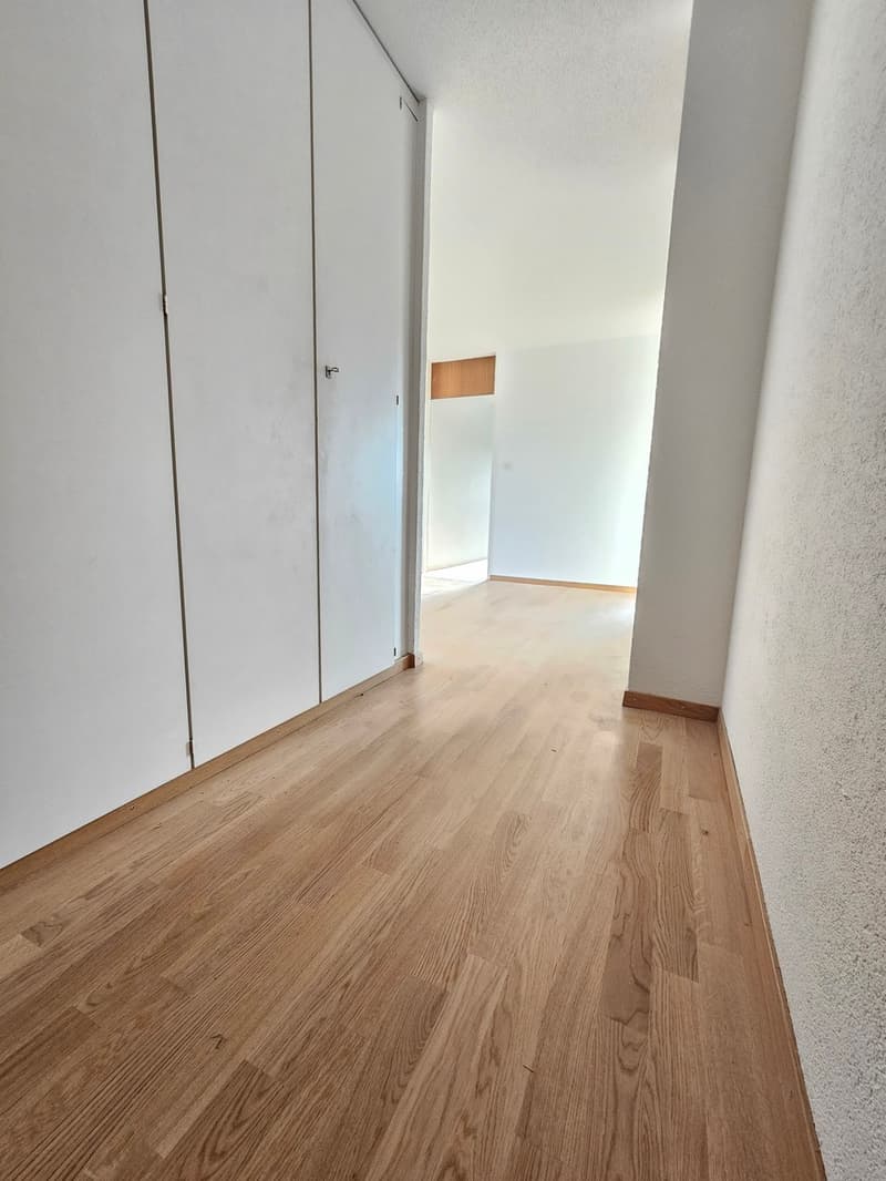 Bello appartamento di 3.5 locali - 3° piano (2)