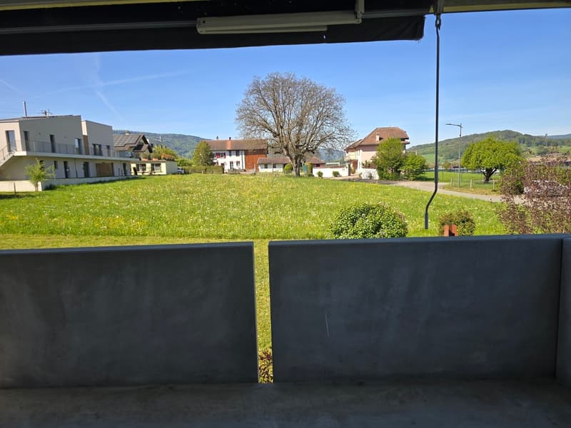3.5-room apartment on the 1st floor, 64 m2, with elevator (3)