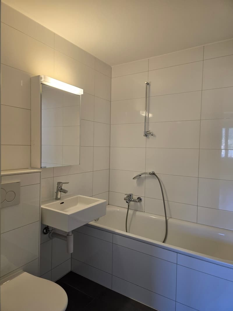 3.5-room apartment on the 1st floor, 64 m2, with elevator (6)