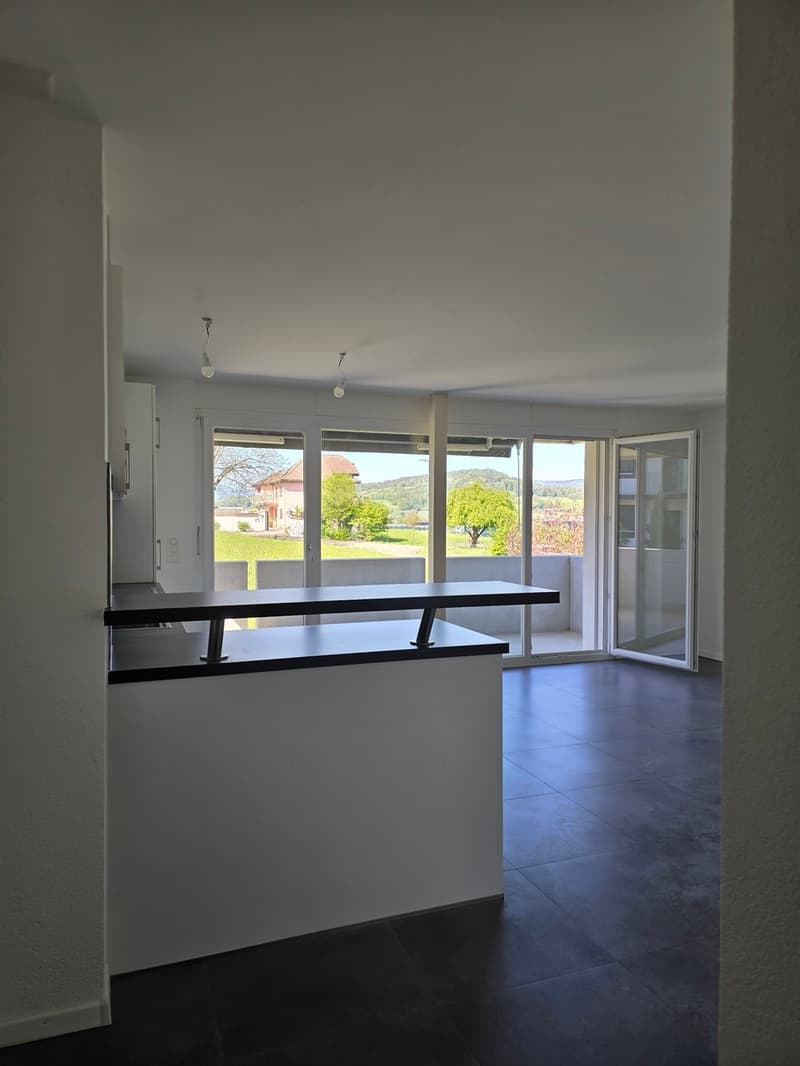 3.5-room apartment on the 1st floor, 64 m2, with elevator (2)