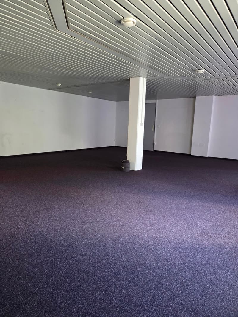 Surface commerciale à plain-pied de 71 m2 (1)