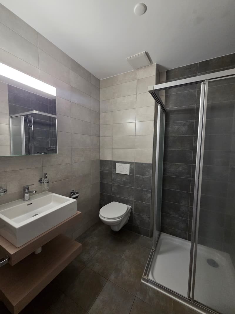 4.5-room apartment of 107 m2 on the 2nd floor with elevator (4)