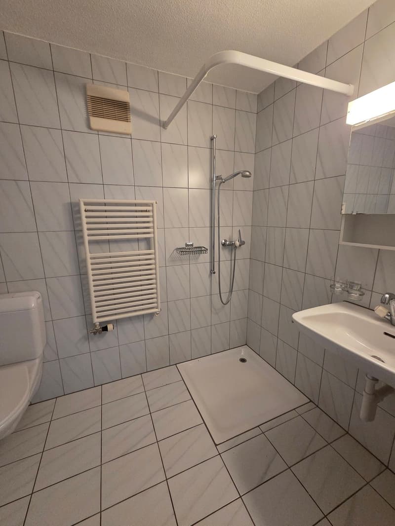 Studio mit 40 m2 im 1. Stock mit Aufzug (4)