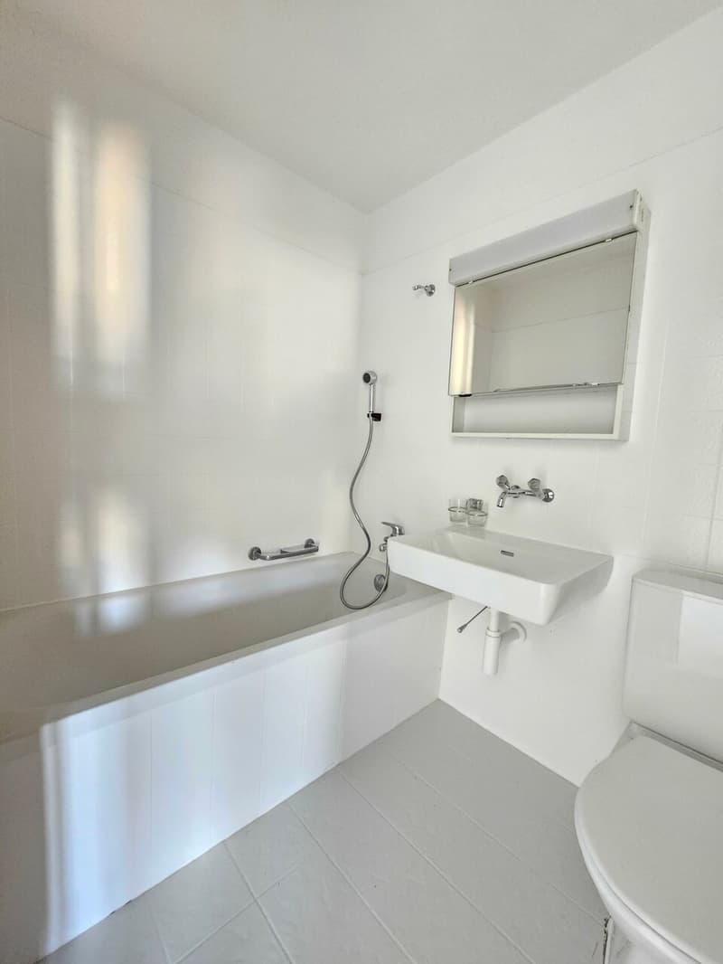Bello appartamento di 2 locali di 44m2 (3)