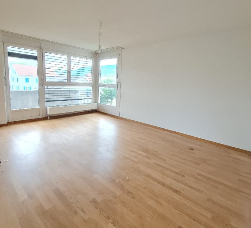 Bello appartamento di 2 locali di 44m2 (5)