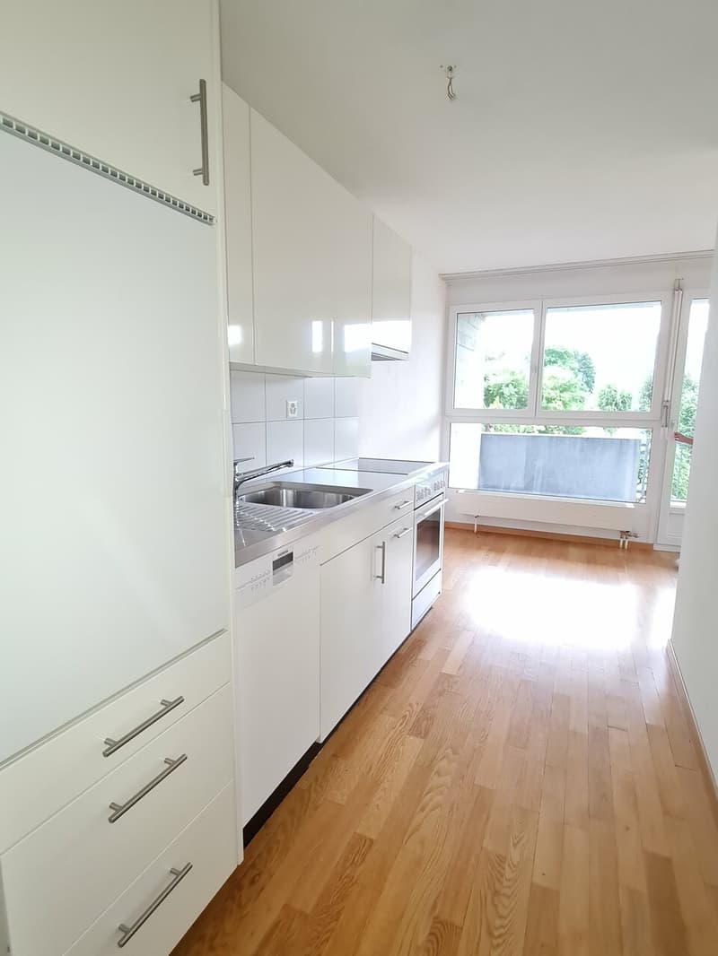 Bello appartamento di 2 locali di 44m2 (2)