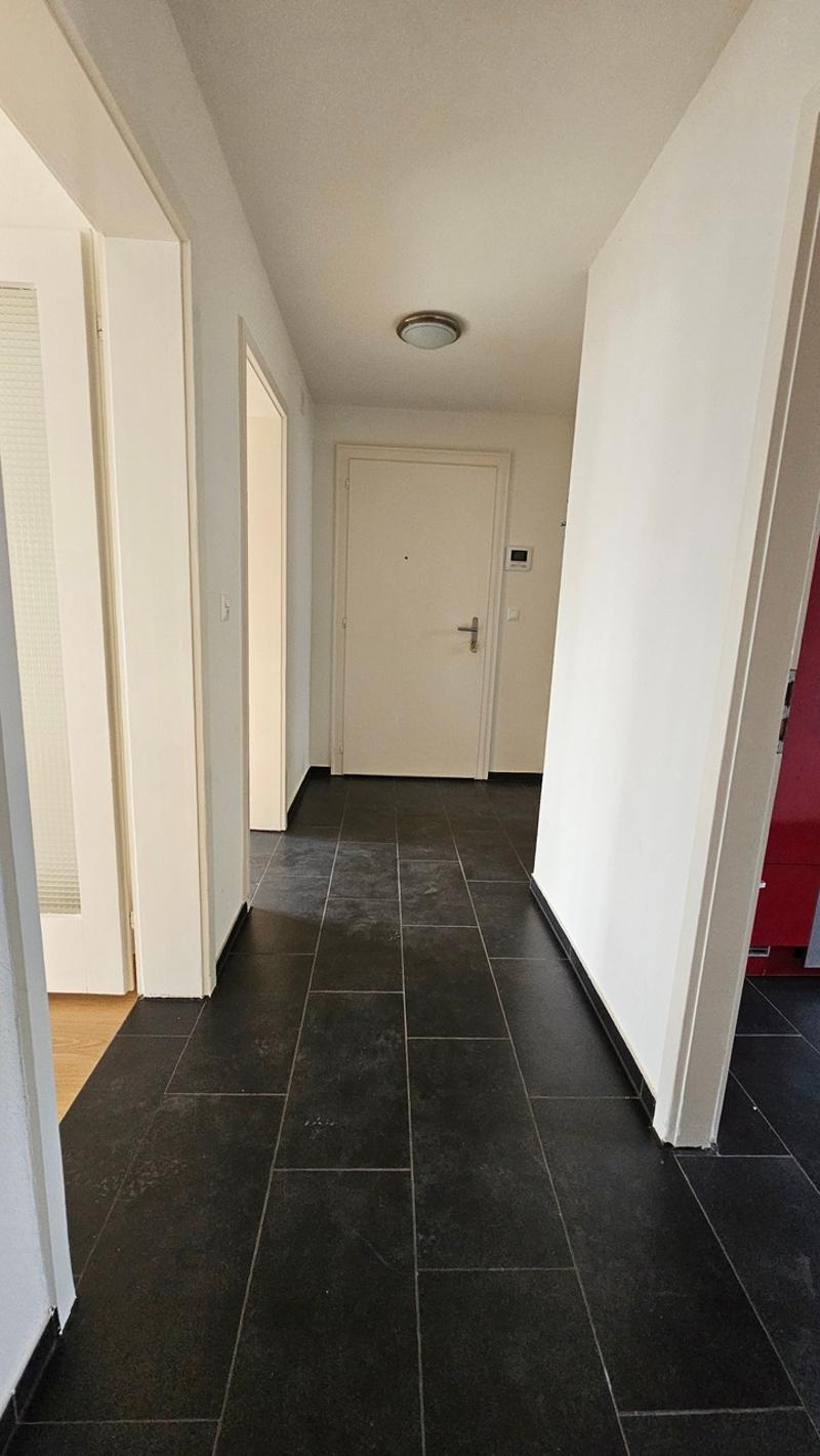 Bright 3-room apartment with large terrace (5)