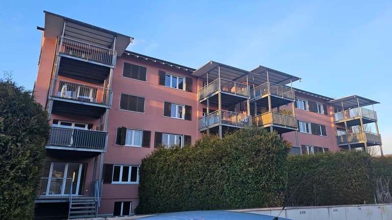Bright 3-room apartment with large terrace (3)