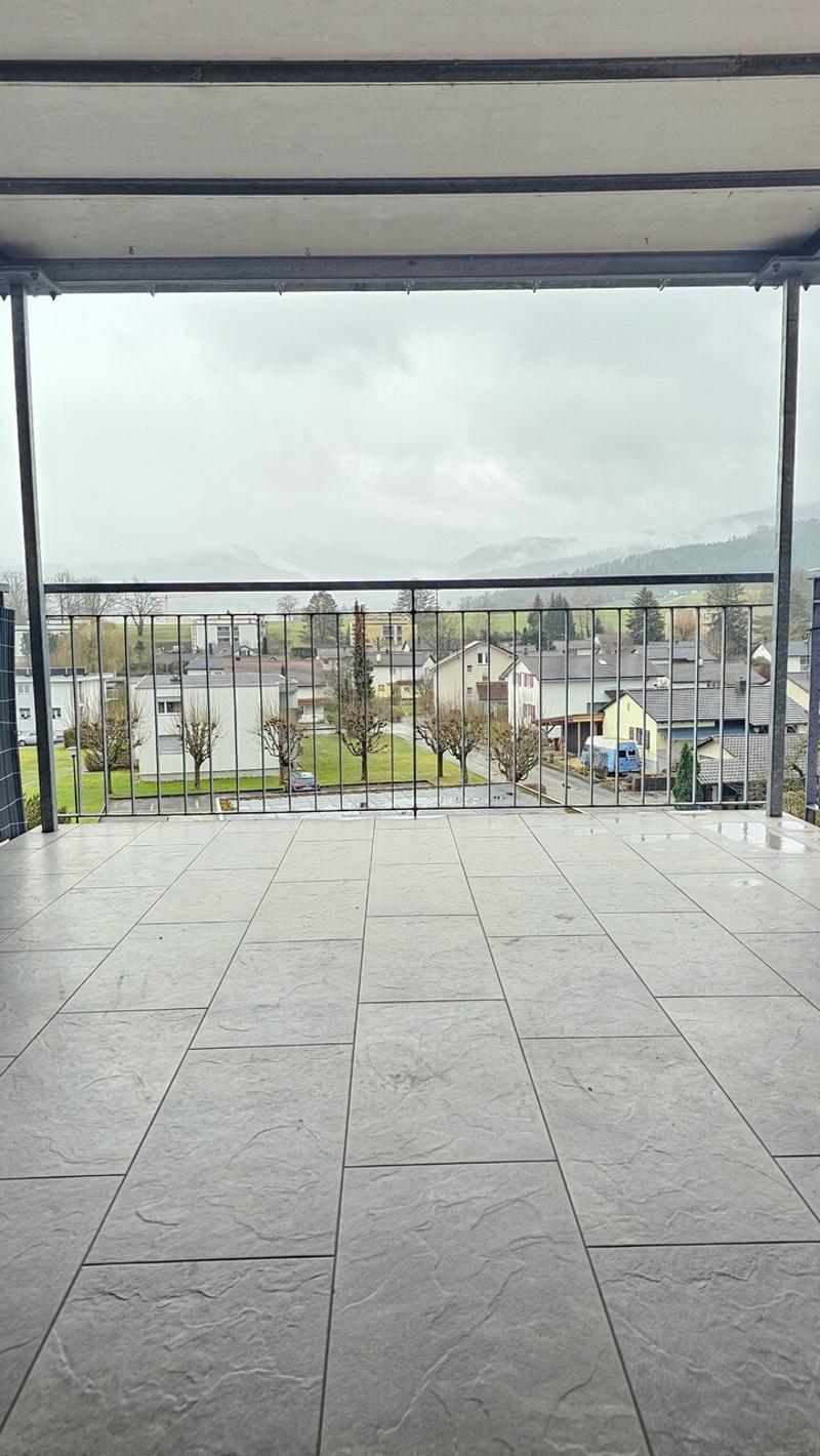 Bright 3-room apartment with large terrace (9)