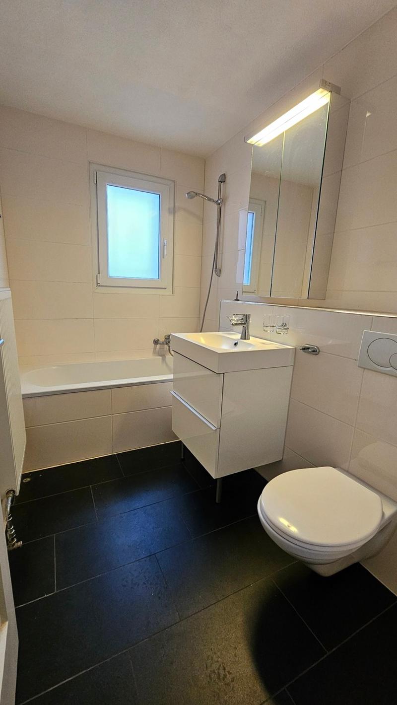 Bright 3-room apartment with large terrace (4)
