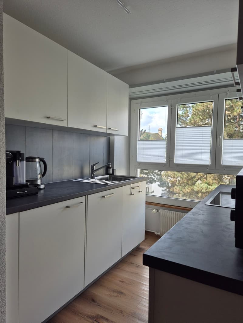 Two-room apartment of 47.50 m2 on the 4th floor with elevator & balcony (7)