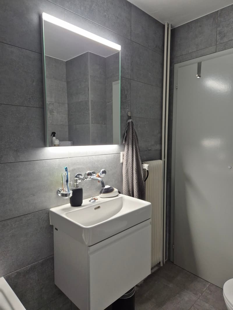 Two-room apartment of 47.50 m2 on the 4th floor with elevator & balcony (4)