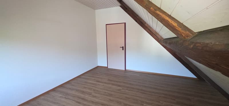 Großes Duplex von 3.5 Zimmern mit 94m2 - Zwei Schritte vom Krankenhaus entfernt (13)